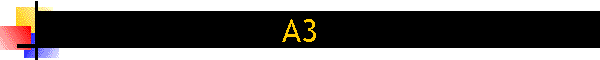 A3