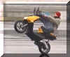 03V3_Wheelie.jpg (24671 Byte)